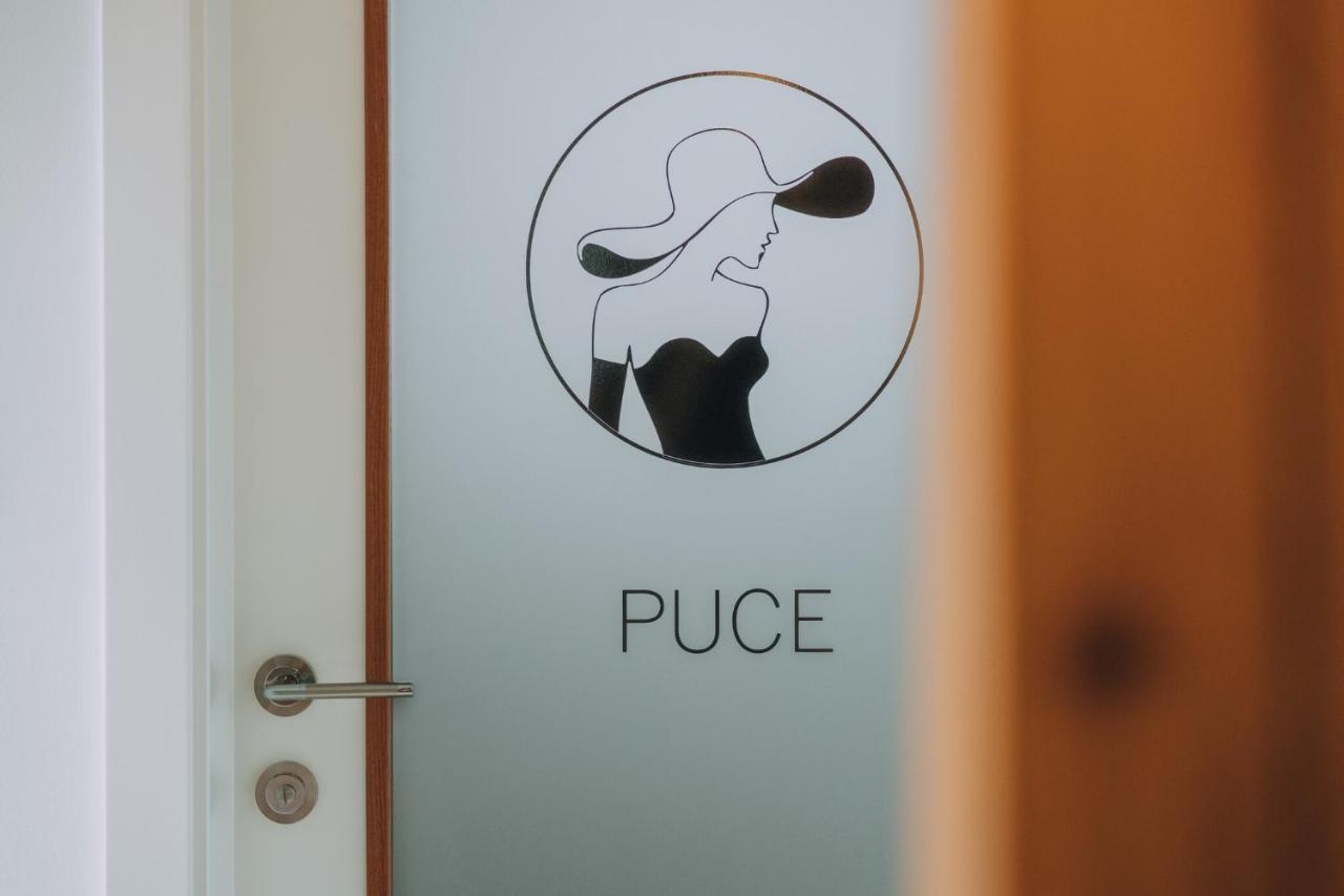 Apartment Carolija Slakovec Экстерьер фото