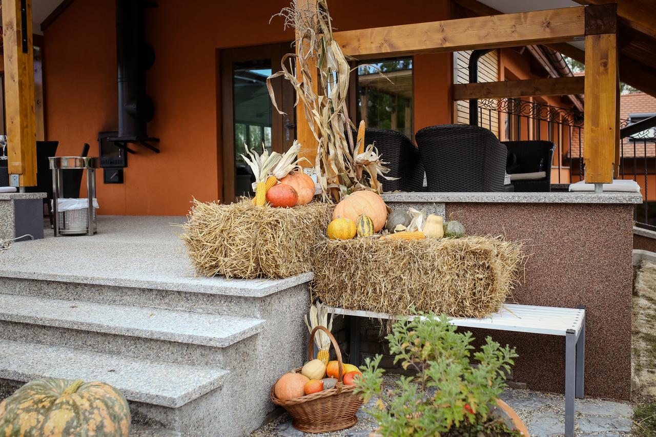 Apartment Carolija Slakovec Экстерьер фото